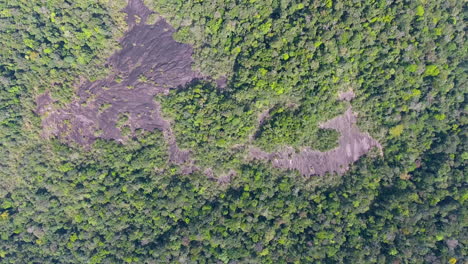 Inselberg-Roche-Savane-Virginie-Vertikale-Luftaufnahme.-Amazonien-Guayana-Drohne
